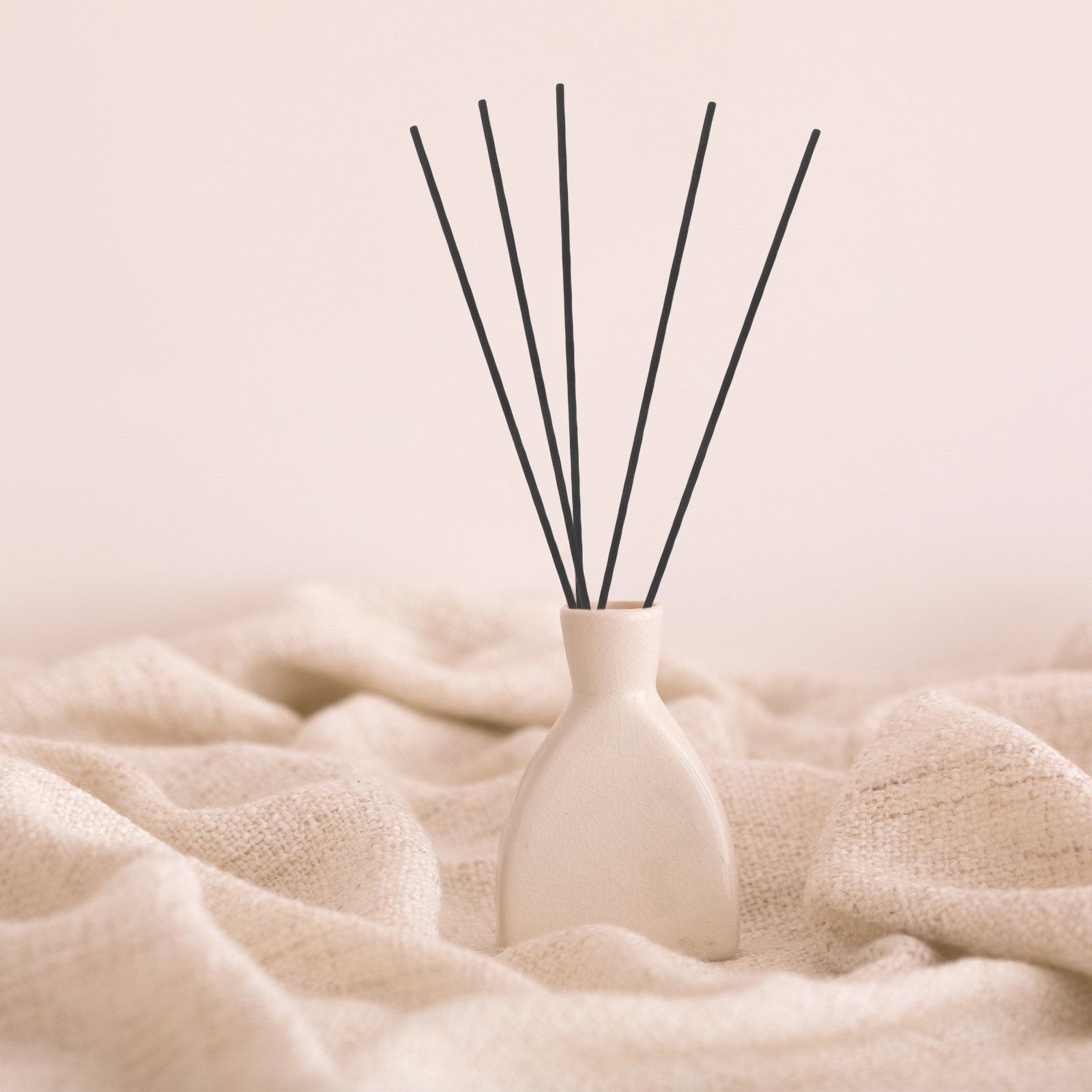Home And You Fragrance Diffuser - 100 Unidades de Varetas Difusoras de