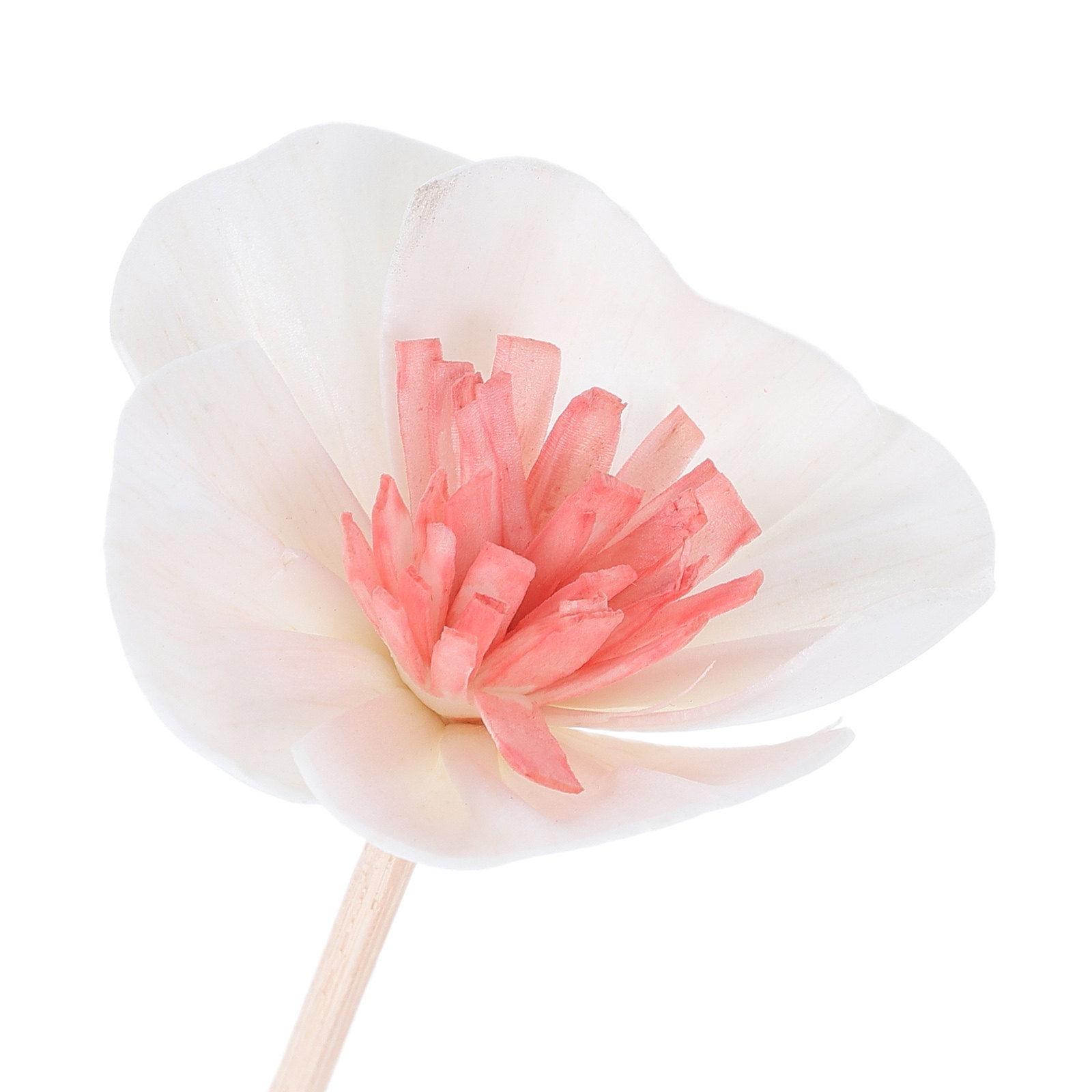 10 Peças de Varetas Difusoras  - Home And You Fragrance Diffuser avaliação e preço