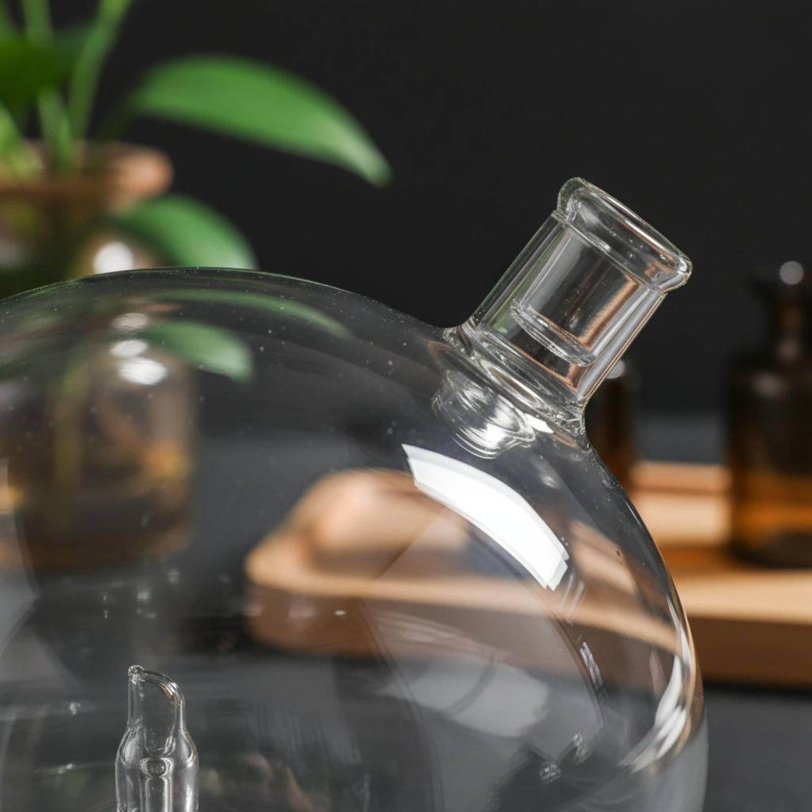 Frasco Difusor Universal de Vi - Home And You Fragrance Diffuser avaliação e preço